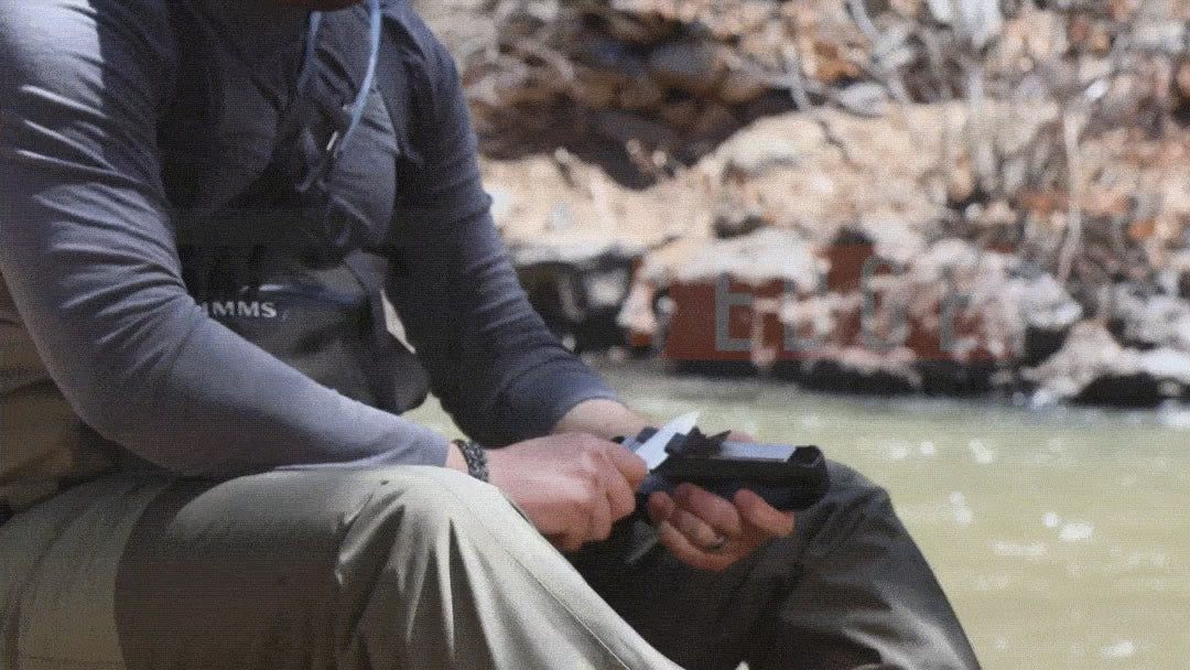 動画を読み込む: 