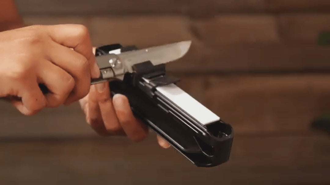 動画を読み込む: 